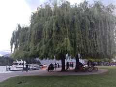 -Patagonia Chocolates(皇后镇店)