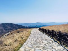 -阳台山自然风景区