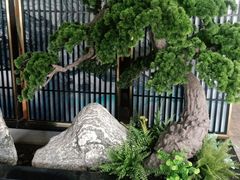 -聚鑫阁江浙菜·非遗传承技艺(闵行交大店)