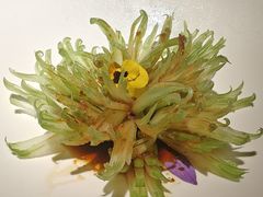 -浙里本味·宴四季江南(三台山路店)