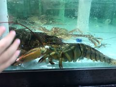 -盒马渔市餐厅