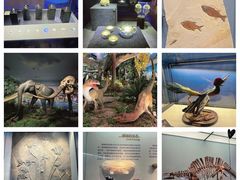 -湖南省地质博物馆