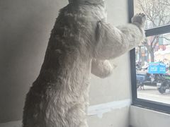 -漆黑觉米粉(三里屯店)