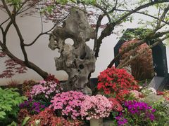 -上海醉白池公园