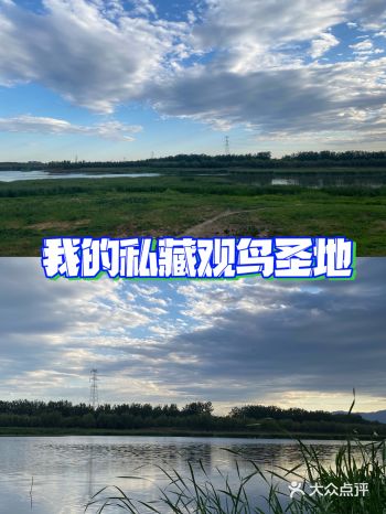 饭后散步，秒变逛公园，而且还是湿地公园… 位置