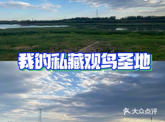 饭后散步，秒变逛公园，而且还是湿地公园… 位置