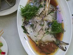 -苏启渔港(云南北路店)