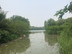 -昆山城市生态森林公园