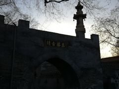 -大槐树寻根祭祖园
