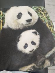 -吉米护肤造型