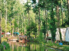 -合肥滨湖国家森林公园