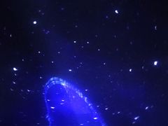 -大连圣亚海洋世界