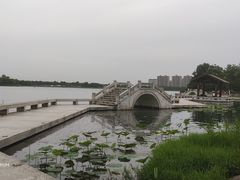 -桐乡凤凰湖