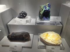 -湖南省地质博物馆