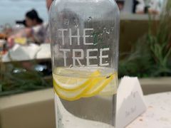 -大树餐厅(环球港店)