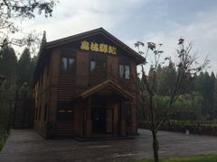 -黄海国家森林公园