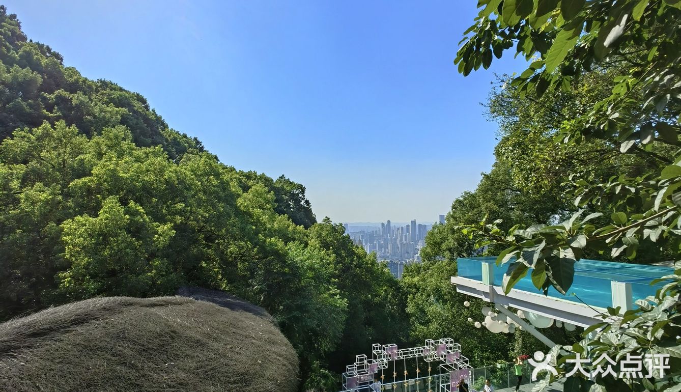 南山上的丛林秘境