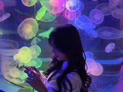 -太平洋海底世界