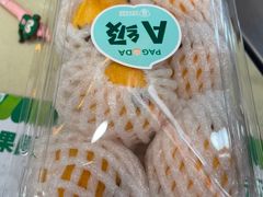 -百果园PAGODA(沿海赛洛城店)