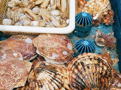 -添福来墨鱼饺子 · 海鲜东北菜(大连星海·黄浦路店)