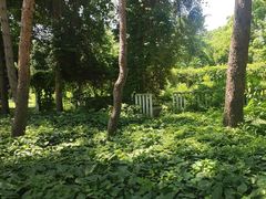 -黑龙江省森林植物园