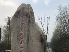 -合肥滨湖国家森林公园