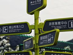 -树山生态村