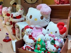 -松临·铁板烧&Omakase(神农店)