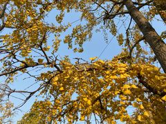 -百林公园-两江幸福广场