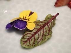 -唐猫庭院·千年陕菜(大唐不夜城店)