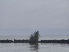 -巢湖姥山岛