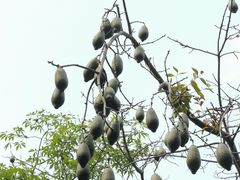 -晓港公园