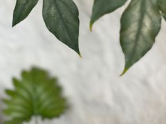 -Laures·月桂西班牙碳烤餐厅(十尚坊店)