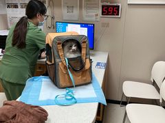 -瑞鹏宠物医院(大运分院)