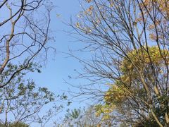 -西湖风景区-江洋畈生态公园