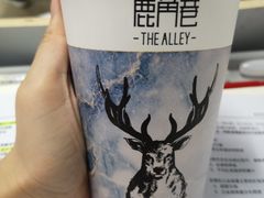 -THE ALLEY 鹿角巷(时代天街A馆店)
