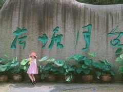-荷塘月色湿地公园·向阳花洲