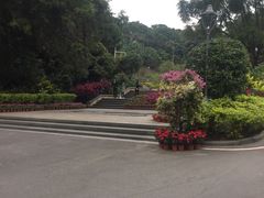 -金鸡山公园