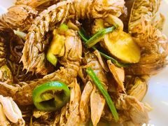 椒盐濑尿虾-浩海美食店(闸坡店)