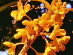 -妈妈菜舟山海鲜(定海古城店)