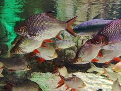 -太平洋海底世界