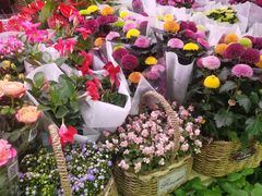 -三旗百汇商品城