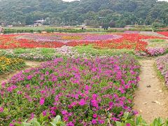 -清溪大王山森林公园