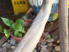 -张钰强中医正骨推拿连锁(唐家人才公寓店)