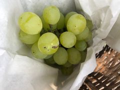 -美家乐农庄·露营·团建(大治路店)