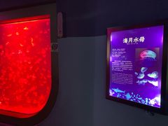 -福州罗源湾海洋世界旅游区