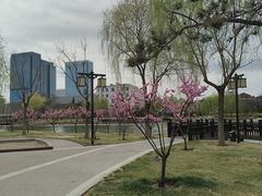 -西海子公园