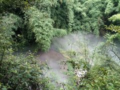 -川西竹海景区