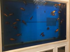 水产区-南山鲜虾面·活鲜小馆·海味大连菜(南山总店)