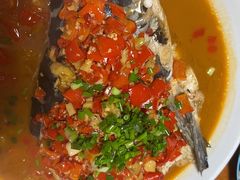 -全乐鱼馆·淳牌有机鱼直营店